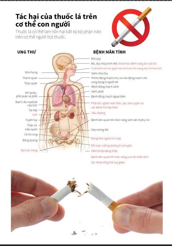 Tác hại của hút thuốc la chủ động và thụ động